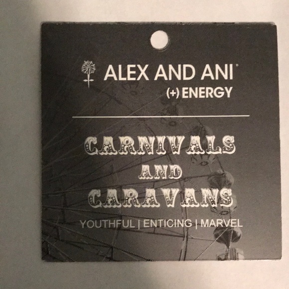 Blue Marble Alex and Ani Bracelet - Picture 5 of 5